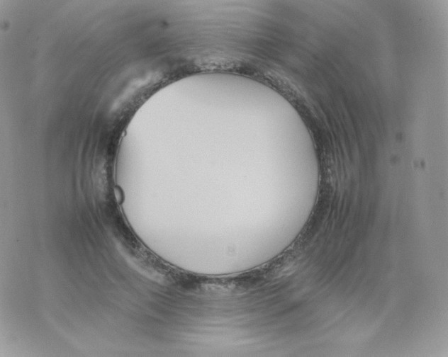 X0000074930690200609291757