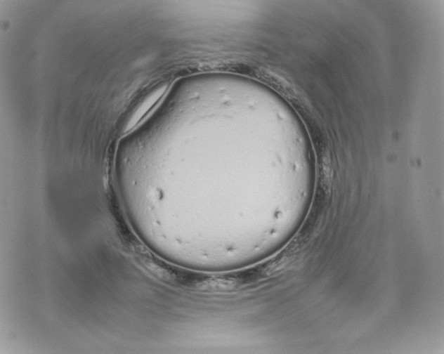 X0000074930691200609291757