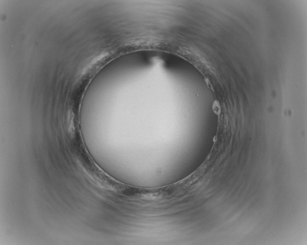 X0000074930692200609291757