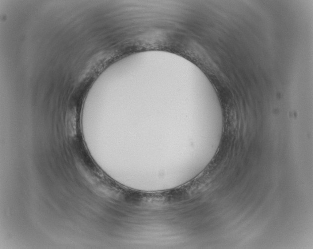 X0000074930694200609291757