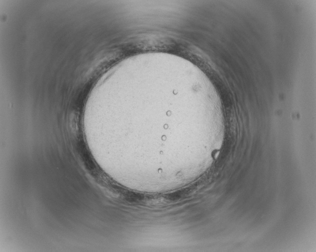 X0000074930695200609291757