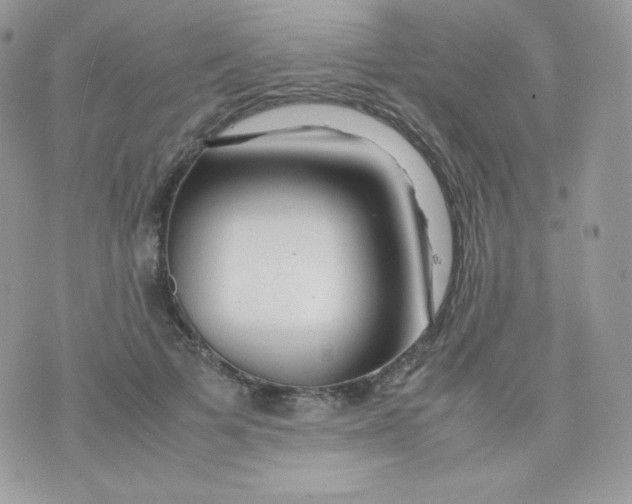 X0000074930697200609291757