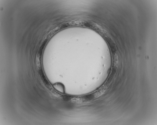 X0000074930699200609291757