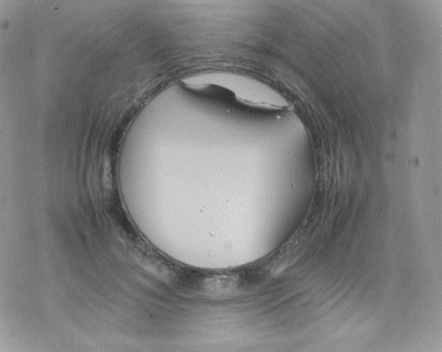 X0000074930700200609291757