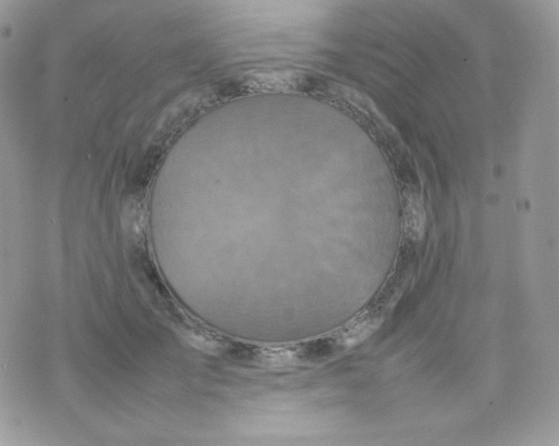 X0000074930701200609291757