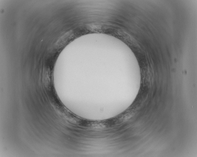 X0000074930702200609291757