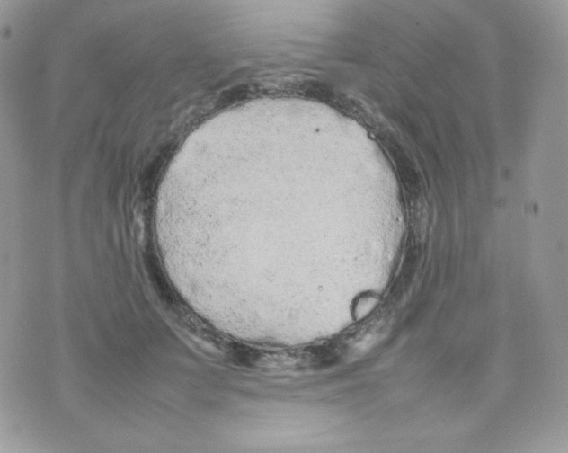 X0000074930703200609291757