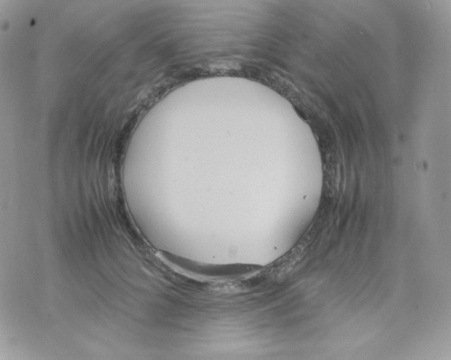 X0000074930704200609291757