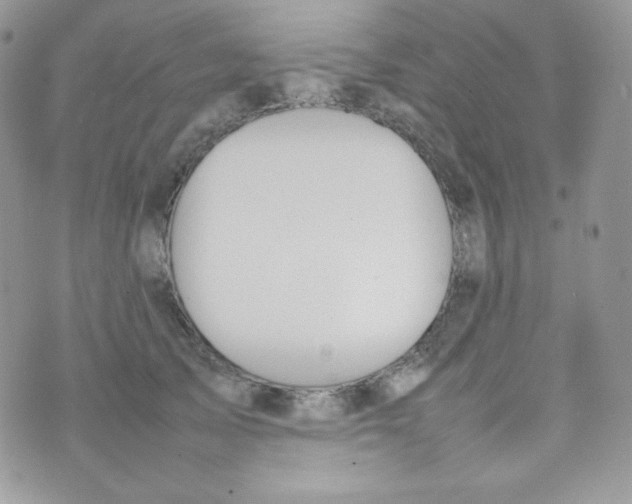 X0000074930705200609291757