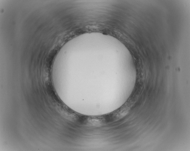 X0000074930706200609291757