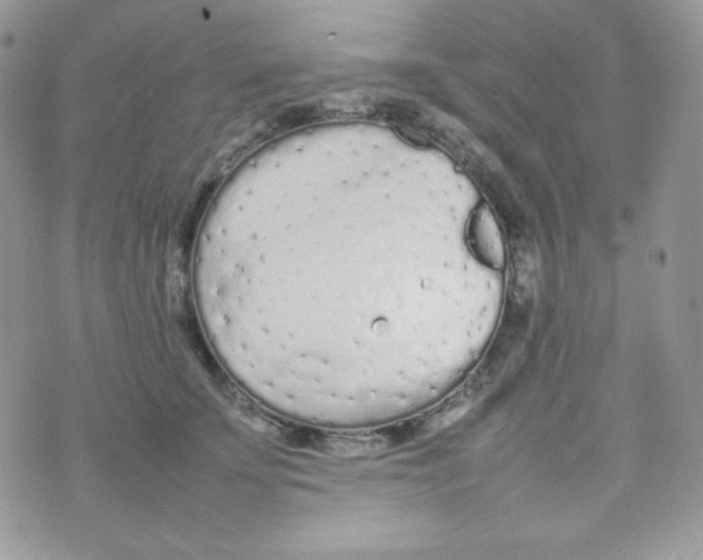 X0000074930707200609291757