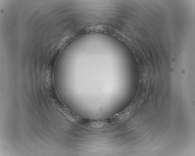 X0000074930708200609291757