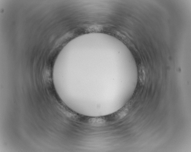 X0000074930714200609291757