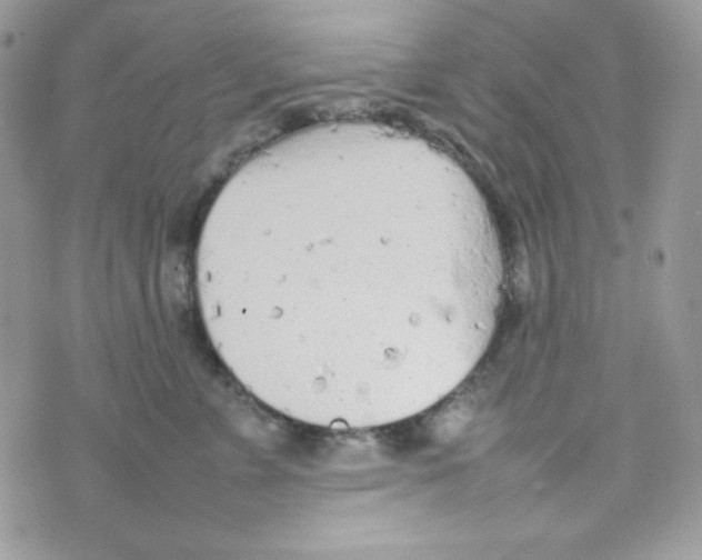 X0000074930715200609291757