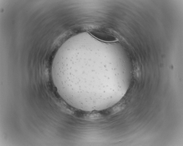 X0000074930716200609291757