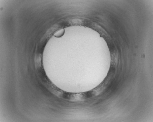 X0000074930717200609291757