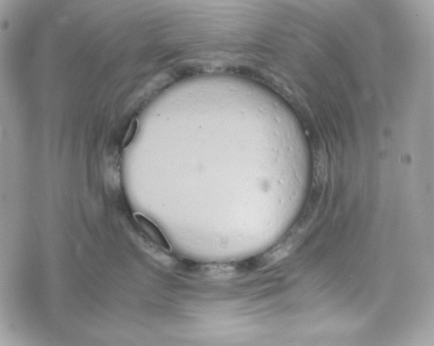 X0000074930719200609291757