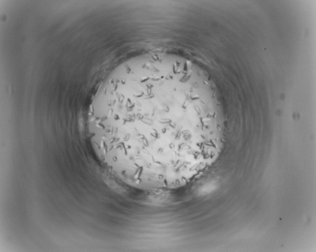 X0000074930720200609291757