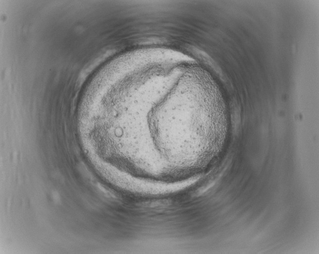 X0000074930721200609291756