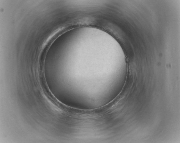 X0000074930722200609291756