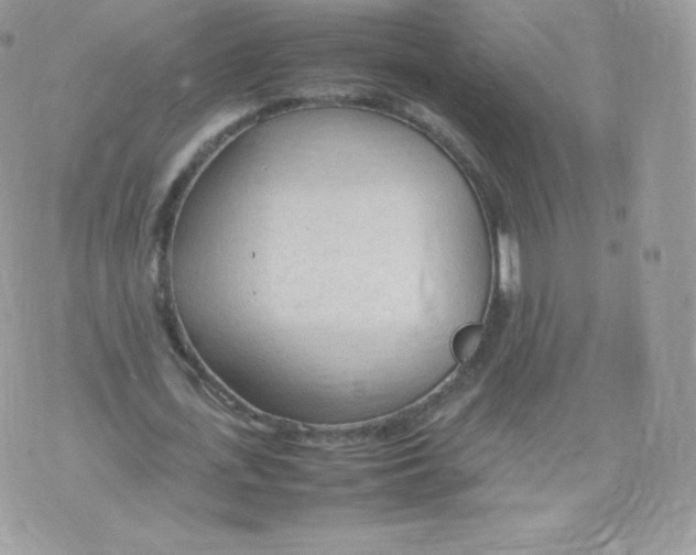 X0000074930723200609291756