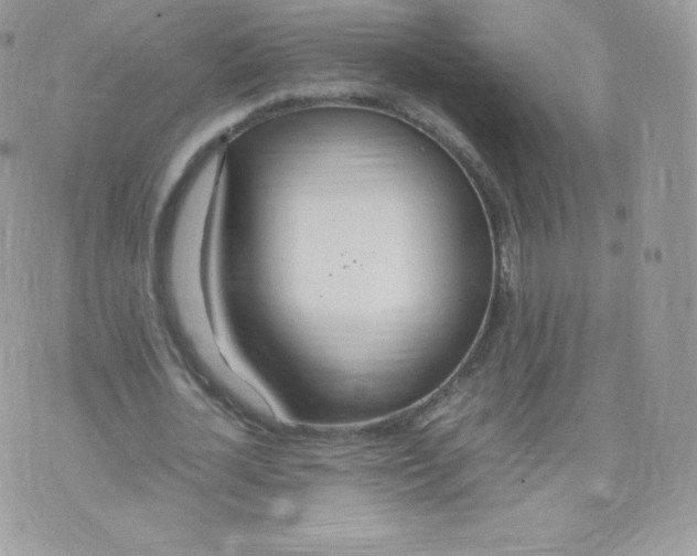 X0000074930724200609291756