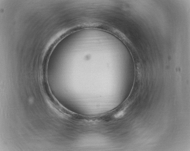 X0000074930726200609291756