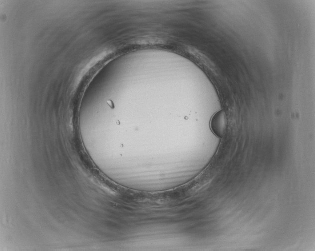 X0000074930727200609291756