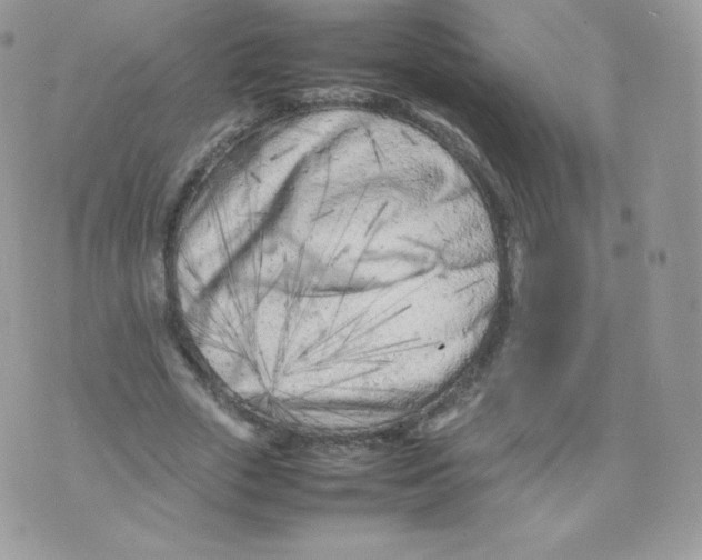 X0000074930729200609291756