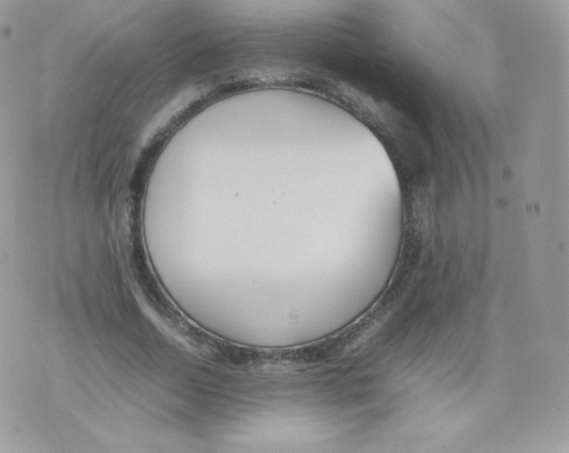 X0000074930730200609291756