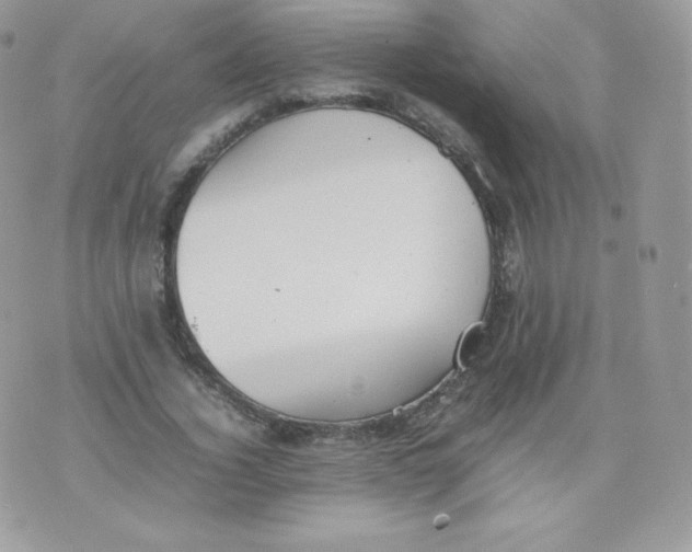 X0000074930732200609291756