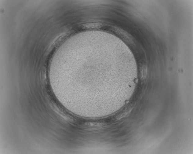 X0000074930733200609291756