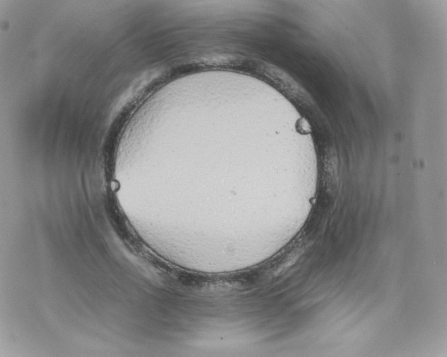 X0000074930734200609291756