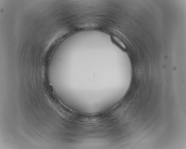 X0000074930735200609291756