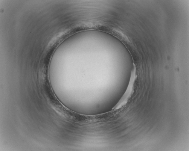 X0000074930736200609291756