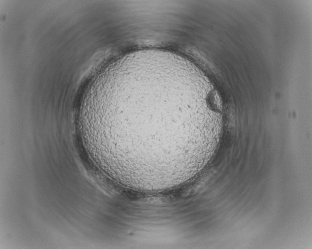 X0000074930738200609291756