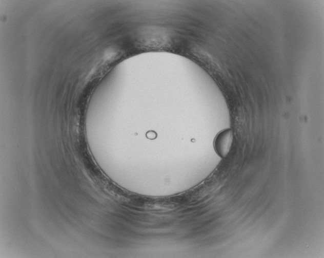 X0000074930739200609291756