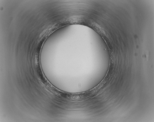 X0000074930740200609291756