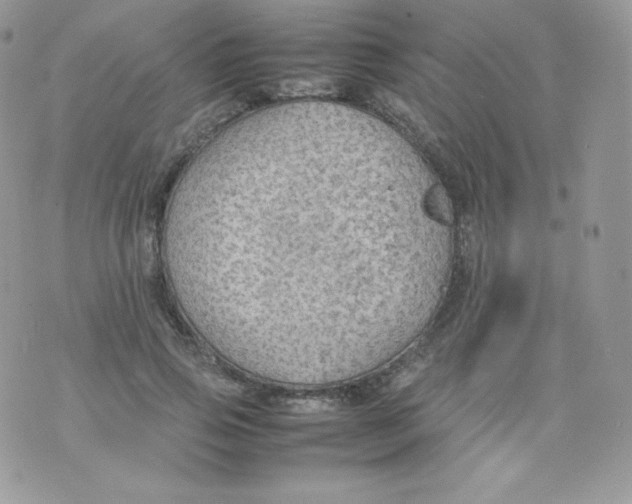 X0000074930741200609291756