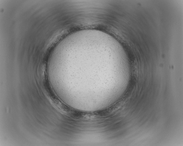 X0000074930742200609291756