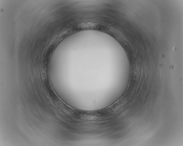 X0000074930743200609291756