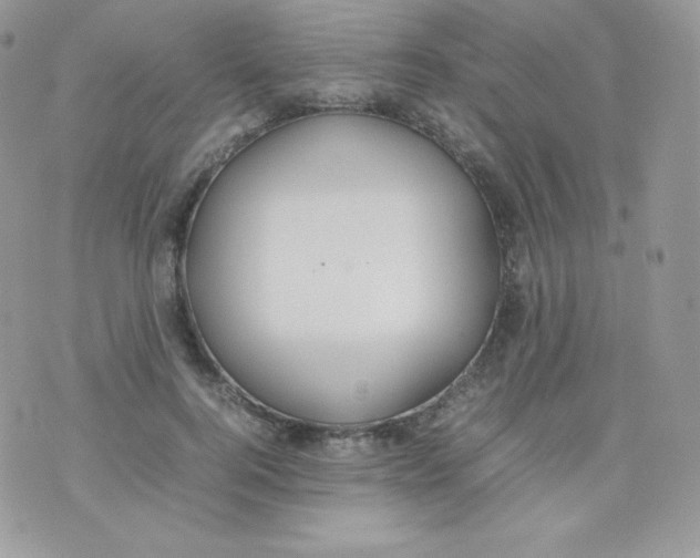 X0000074930744200609291757