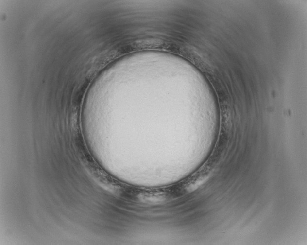 X0000074930745200609291757