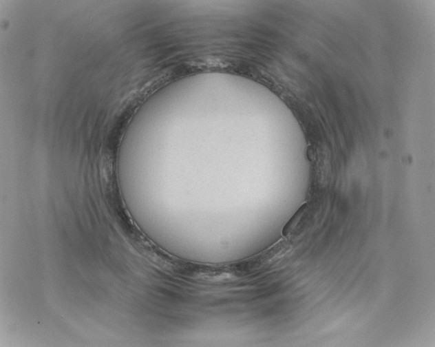 X0000074930747200609291757