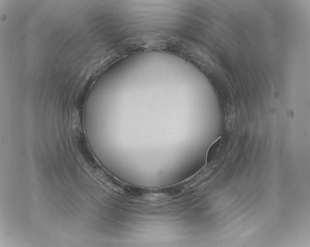 X0000074930748200609291757