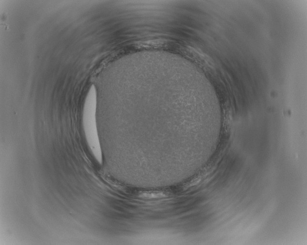 X0000074930749200609291757