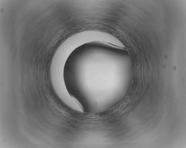 X0000074930750200609291757