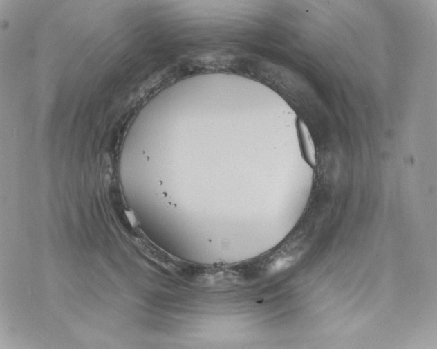 X0000074930752200609291757