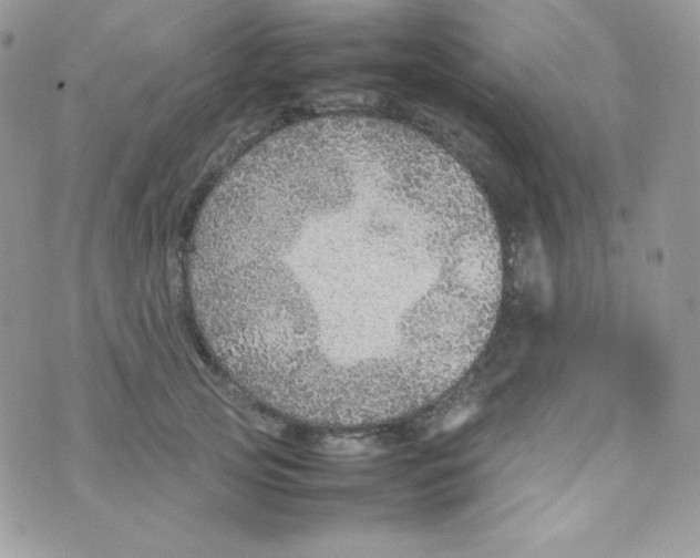 X0000074930753200609291757