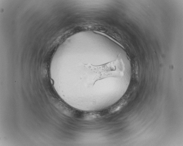 X0000074930754200609291757